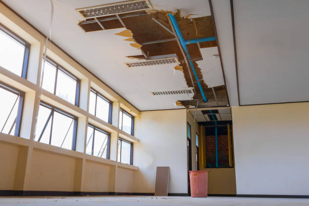 Sewage cleanup and water damage restoration in Lincoln Park, CO