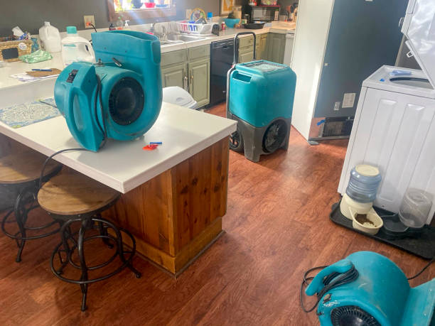  Linln Park, CO Water damage restoration Pros