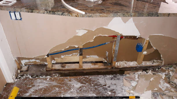 Best Water damage cleanup near me  in Linln Park, CO