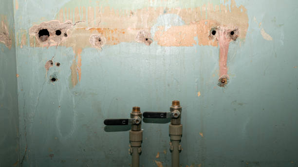 Best Flood restoration services  in Linln Park, CO