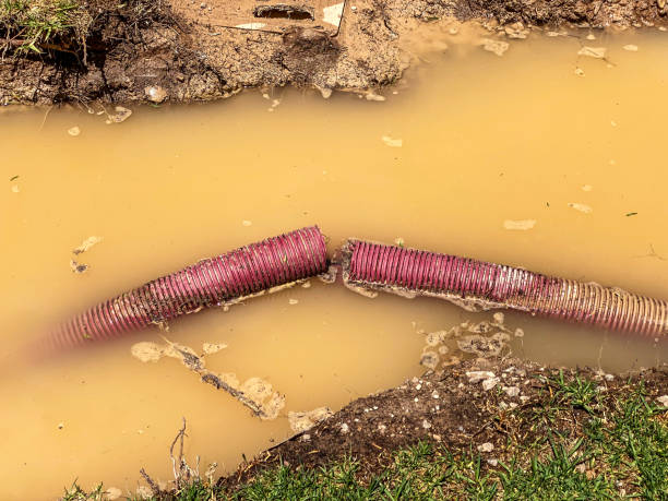 Best Water damage restoration services  in Linln Park, CO