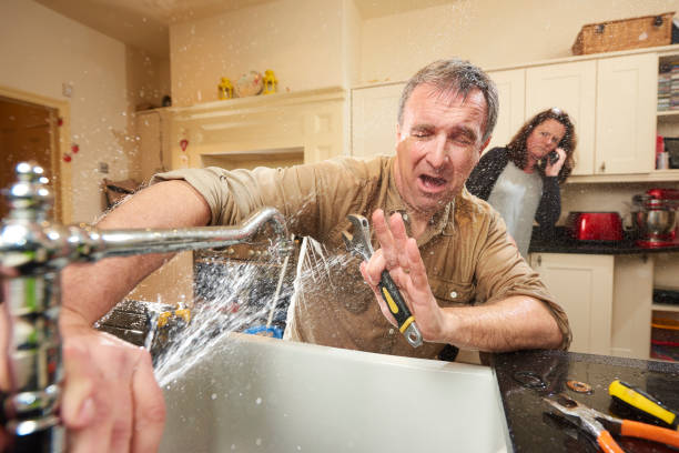Best Flood damage cleanup  in Linln Park, CO